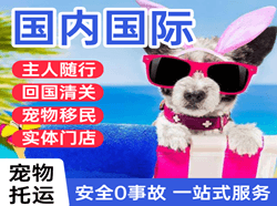 滨海机场托运国际宠物托运 【国